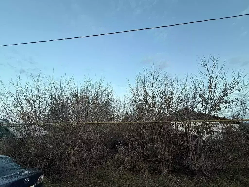 Участок в Белгородская область, Корочанский муниципальный округ, с. ... - Фото 2