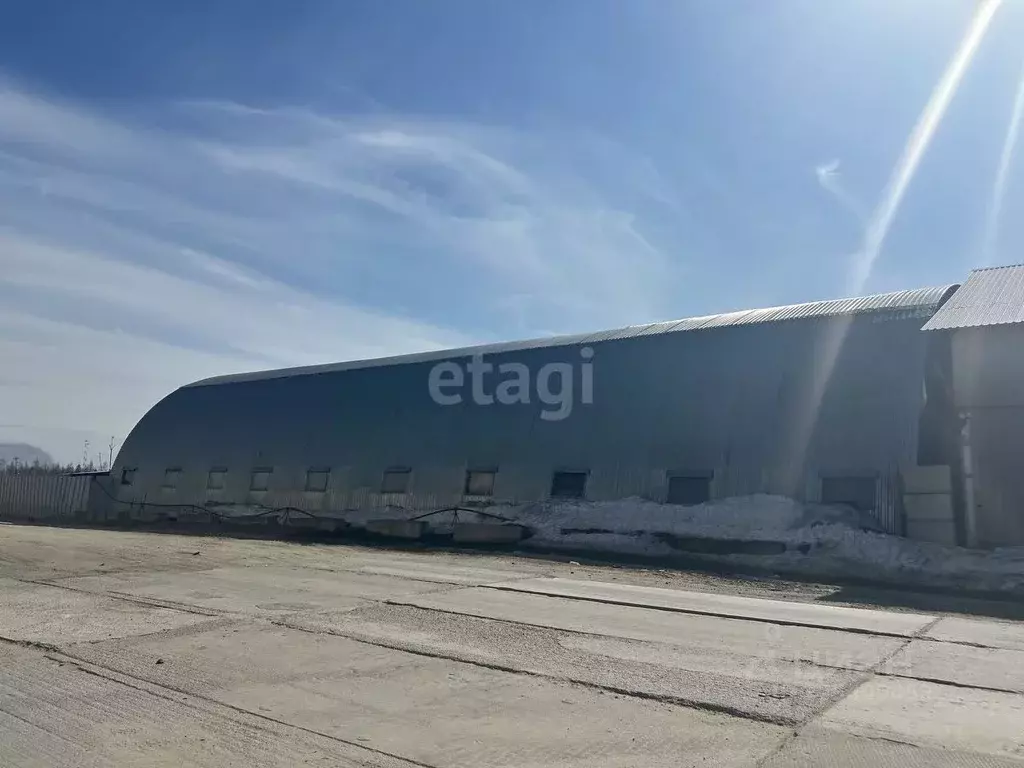 Склад в Ямало-Ненецкий АО, Новый Уренгой 2-й мкр, ул. ... - Фото 2