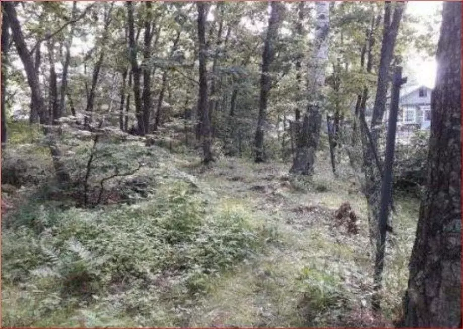 Участок в Приморский край, Владивосток Шахтовая ул., 14 (10.0 сот.) - Фото 0
