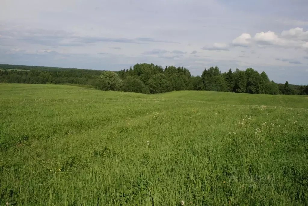 Участок в Тверская область, Кашинский городской округ, д. Верхняя ... - Фото 1