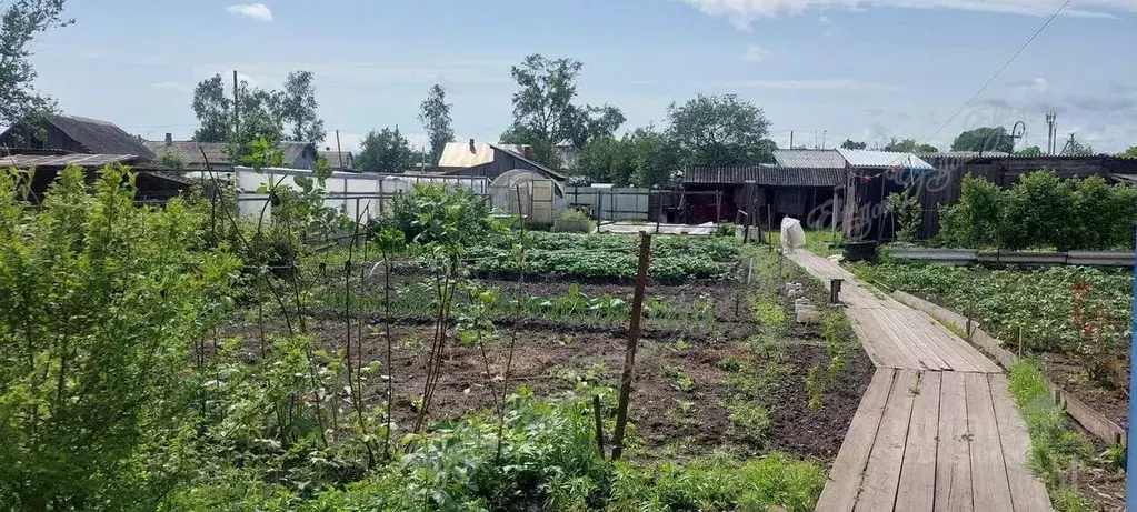 Дом в Еврейская автономная область, Биробиджанский район, с. Птичник ... - Фото 2