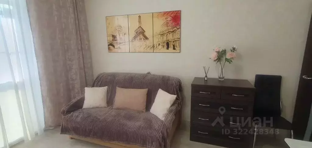 Студия Хабаровский край, Хабаровск Пионерская ул., 1 (25.0 м) - Фото 2