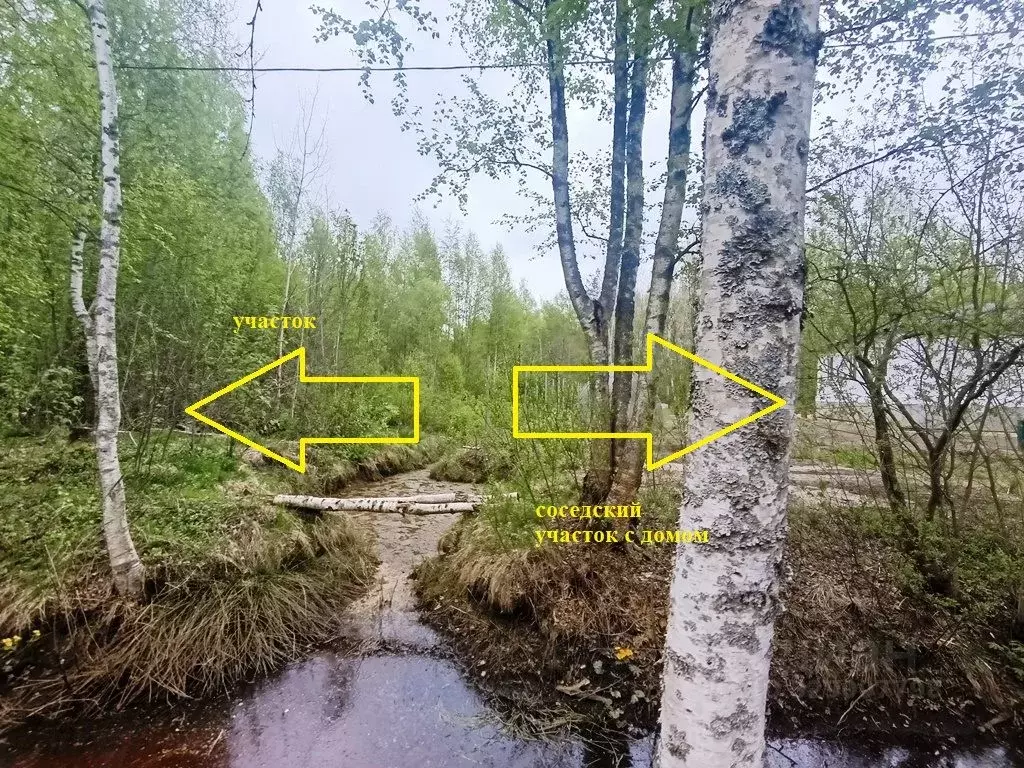 Участок в Ленинградская область, Новая Ладога Волховский район, ... - Фото 2