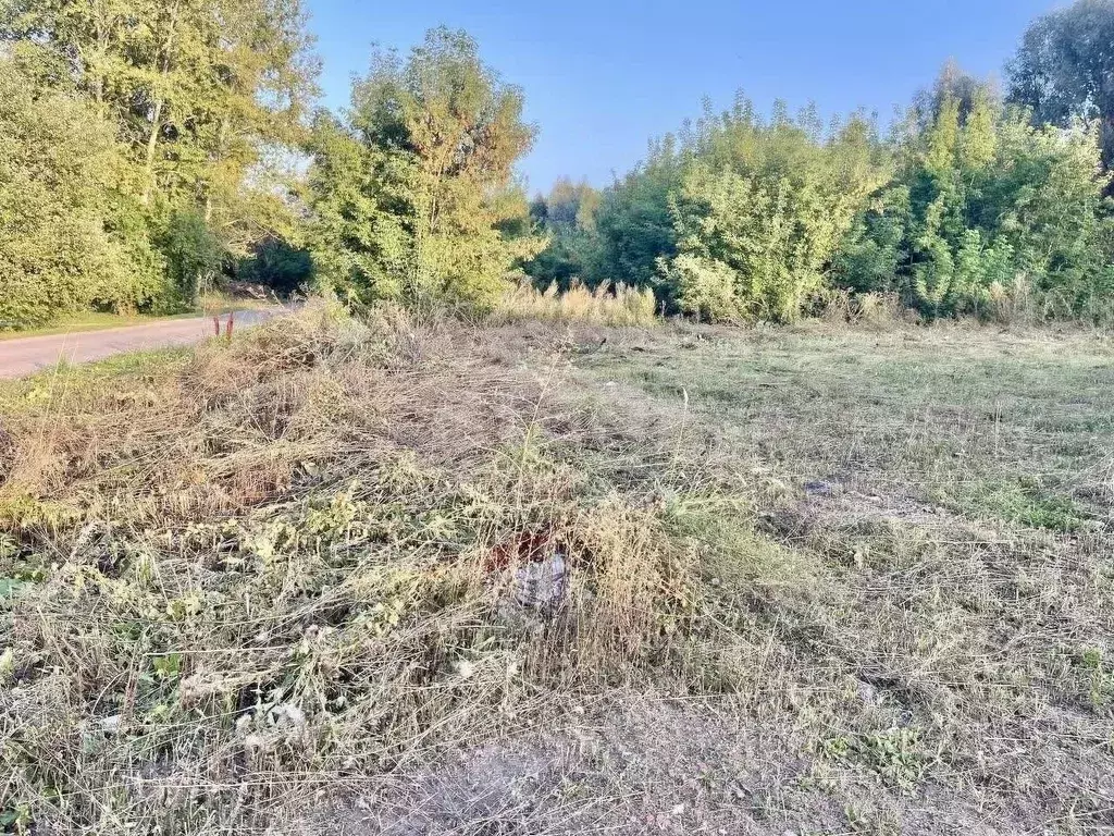Участок в Мордовия, Саранск городской округ, Луховка рп ул. Набережная ... - Фото 1