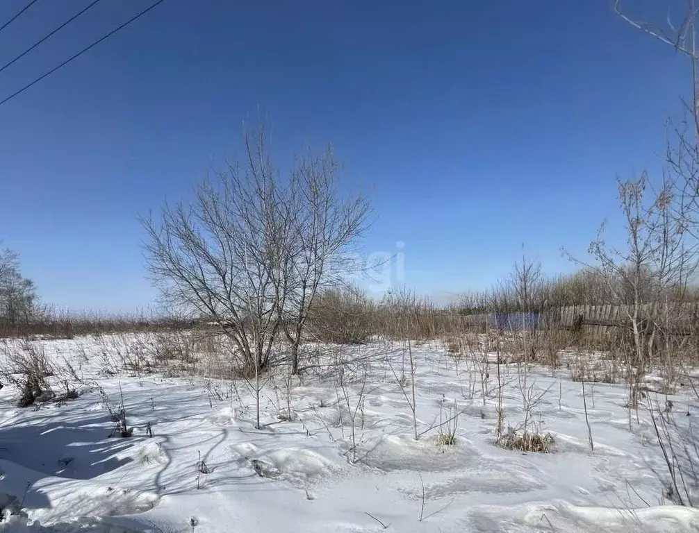 Участок в Иркутская область, Тулунский район, Будаговское ... - Фото 1
