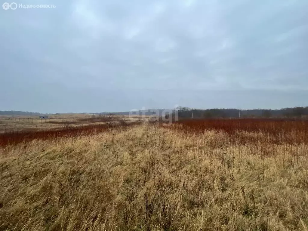 Участок в Калининградская область, Зеленоградский муниципальный округ, ... - Фото 1