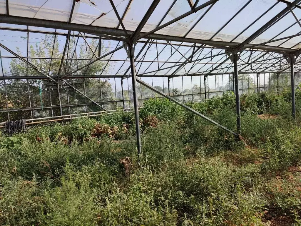 Производственное помещение в Адыгея, Красногвардейский район, ... - Фото 1