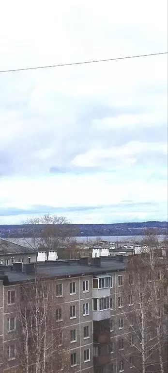 1-комнатная квартира: Пермь, улица Александра Щербакова, 43 (38.7 м) - Фото 1