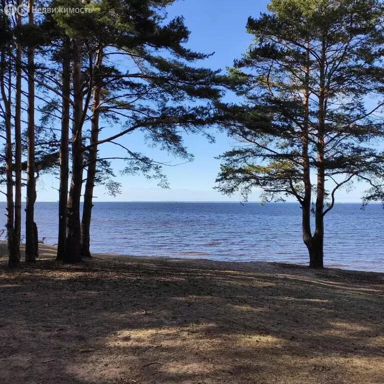 Участок в городской посёлок Лебяжье, Советская улица (7 м) - Фото 1