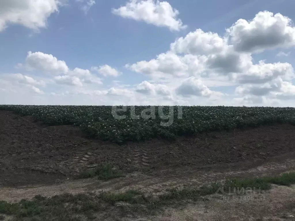 Участок в Иркутская область, Иркутский муниципальный округ, Маркова рп ... - Фото 1