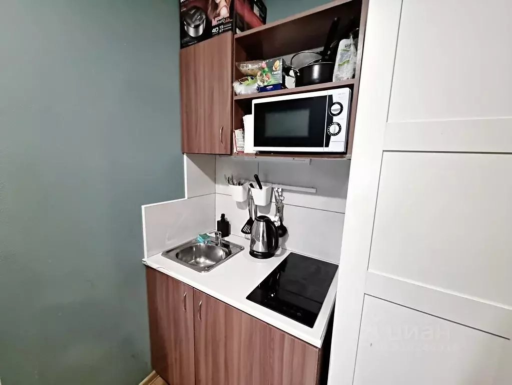Студия Санкт-Петербург 7-я Красноармейская ул., 19 (16.5 м) - Фото 1