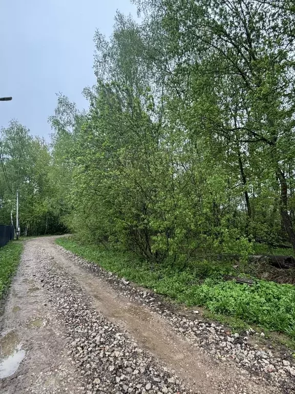 Участок в Калужская область, Калуга городской округ, д. Лихун ул. 4-я ... - Фото 2