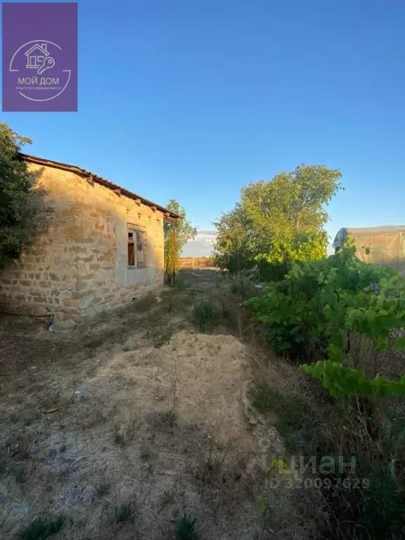 Участок в Крым, Евпатория Авиатор СНТ, аллея Вторая, 137 (5.0 сот.) - Фото 2