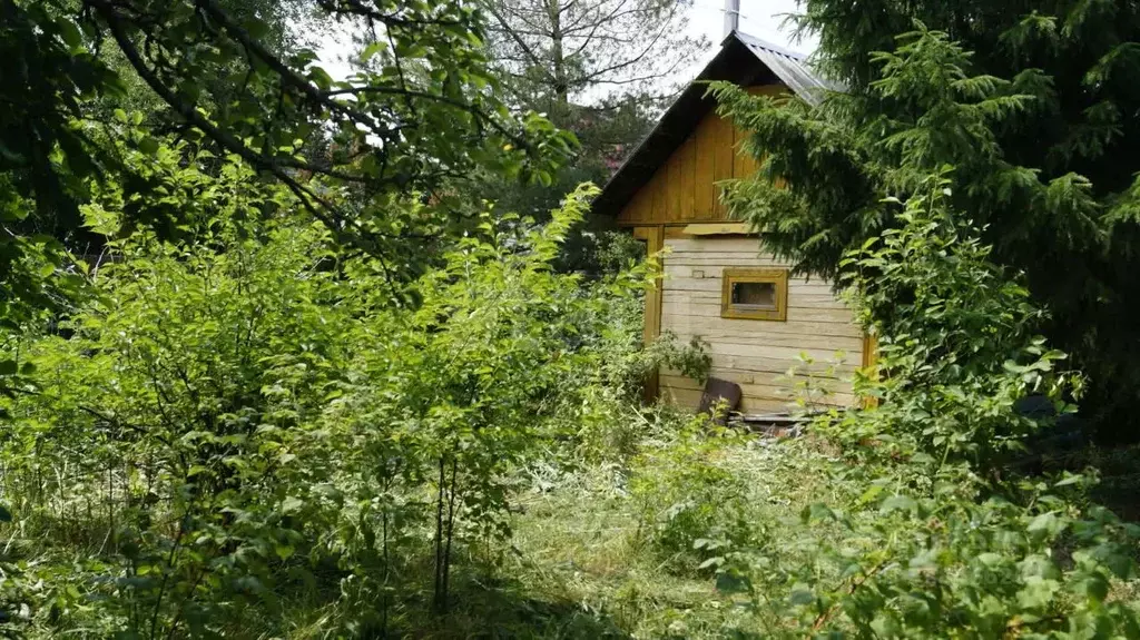 Дом в Тюменская область, Тюмень Сосенка-81 садовое товарищество, ул. ... - Фото 1