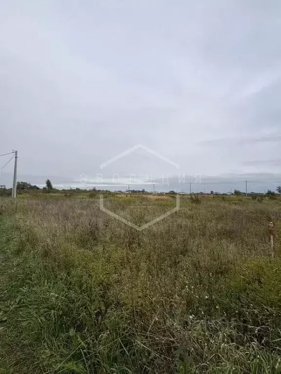 Участок в Калининградская область, Гурьевский муниципальный округ, ... - Фото 1