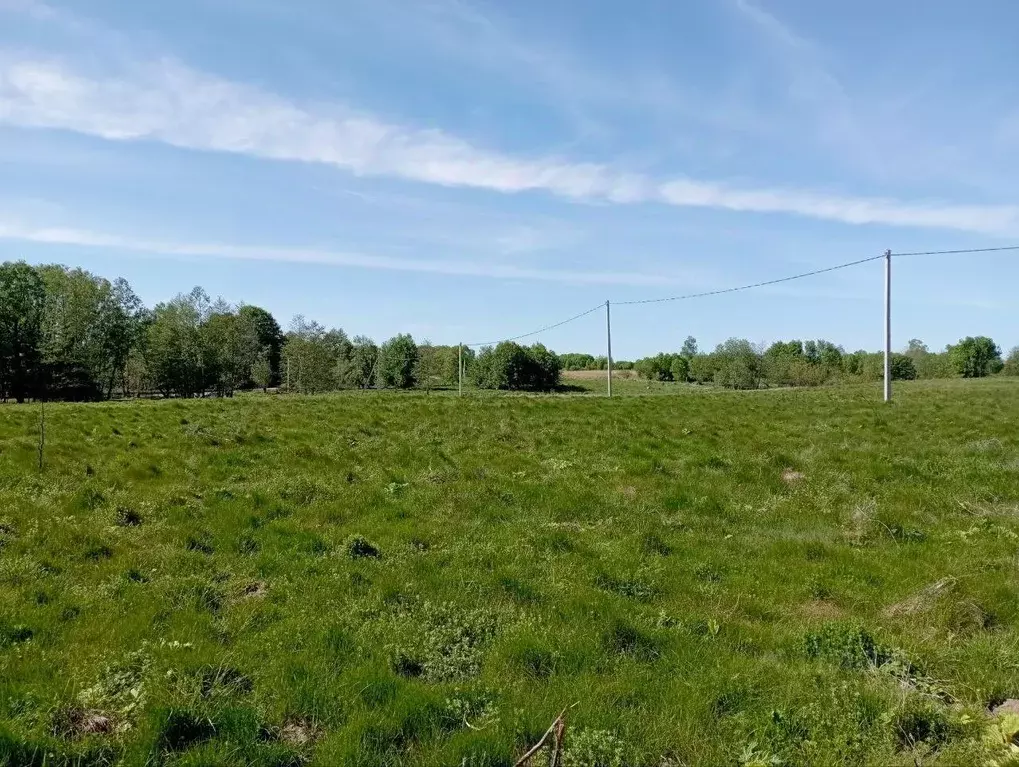 Участок в Калининградская область, Зеленоградский муниципальный округ, ... - Фото 2