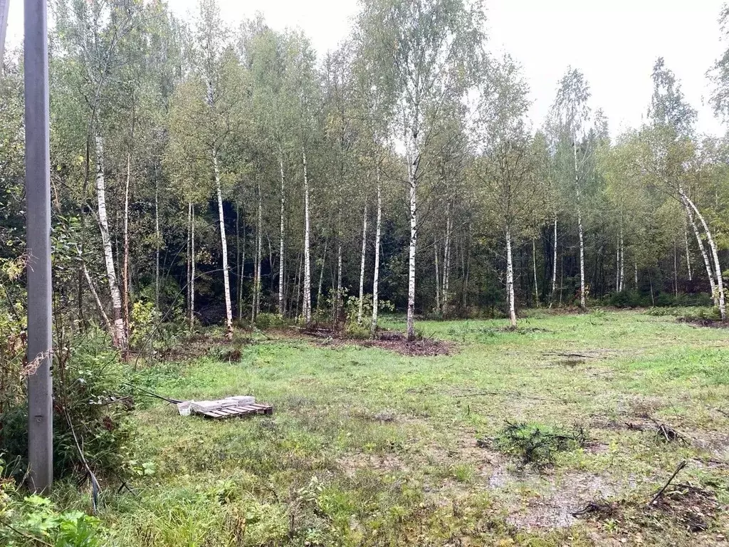 Участок в Московская область, Мытищи городской округ, с. Марфино  ... - Фото 1