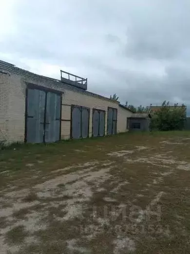 Офис в Ульяновская область, Радищевский район, Дмитриевское с/пос, с. ... - Фото 2