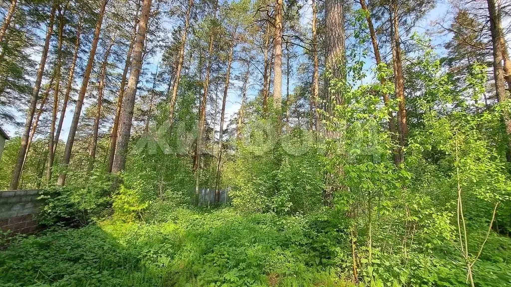 Участок в Новосибирская область, Новосибирск ул. Обские зори (10.0 ... - Фото 1
