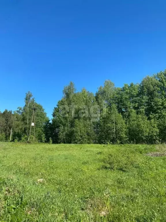 Участок в Московская область, Подольск городской округ, Романцево тер. ... - Фото 1