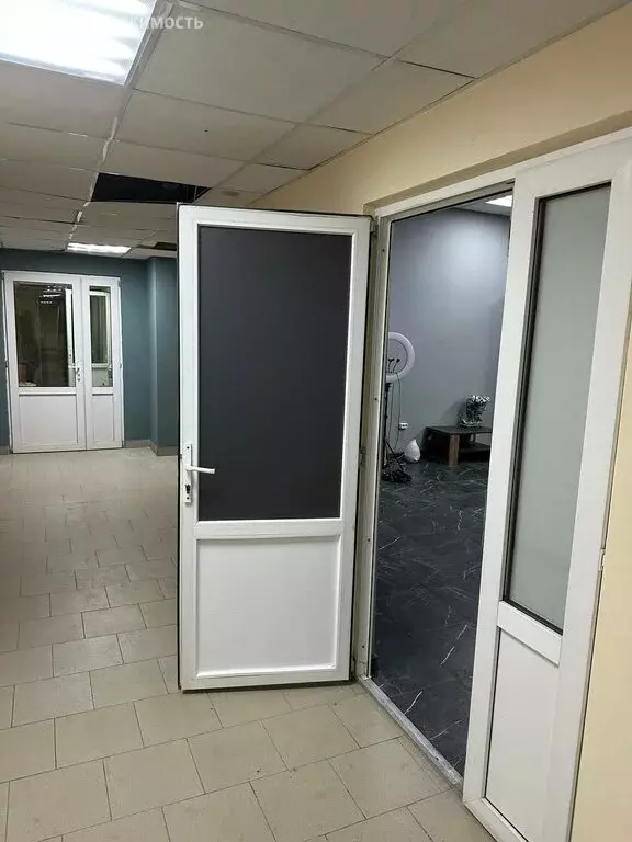 Офис (55.5 м) - Фото 0