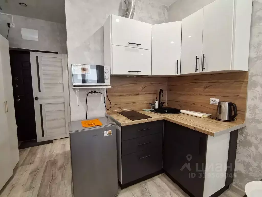 Студия Краснодарский край, Краснодар Российская ул., 267к5 (26.0 м) - Фото 1