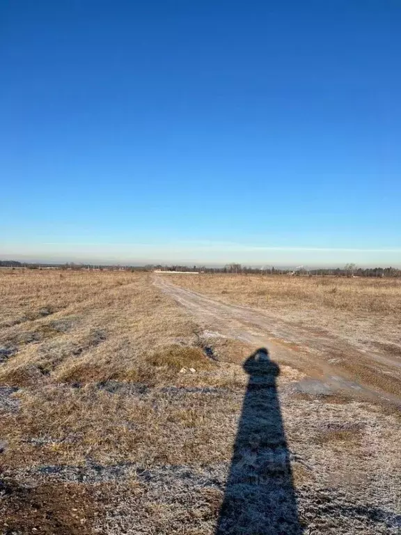 Участок в Пермский край, Пермский муниципальный округ, д. Качка ул. ... - Фото 2