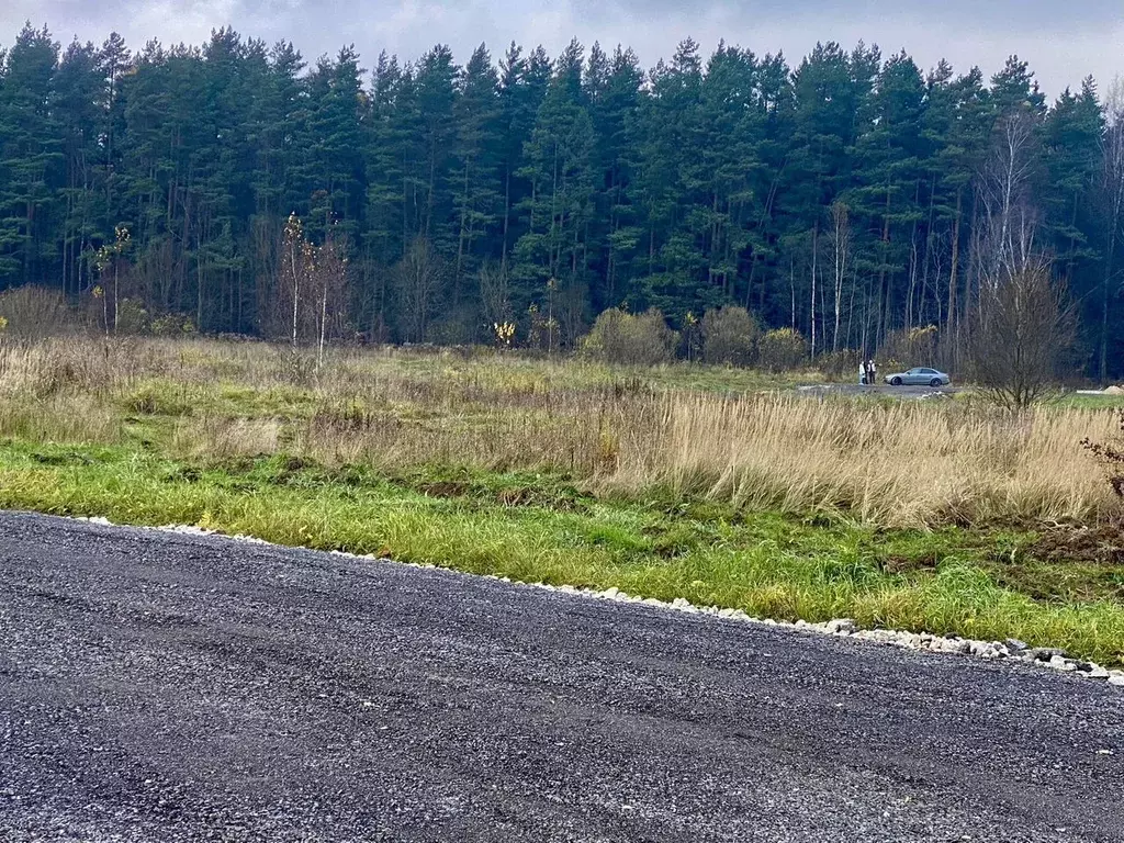 Участок в Московская область, Наро-Фоминский городской округ, д. ... - Фото 2