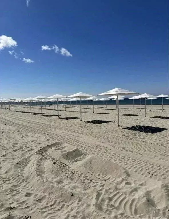 Дом в Калининградская область, Янтарный пгт  (85 м) - Фото 1