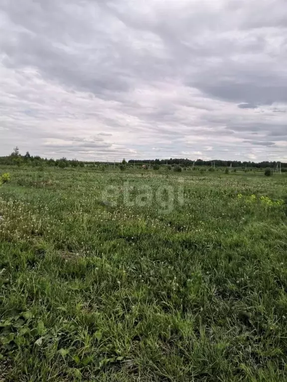 Участок в Кемеровская область, Кемеровский муниципальный округ, с. ... - Фото 1