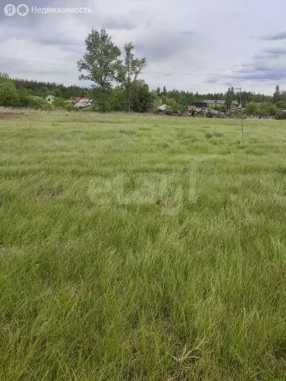 Участок в Воронеж, улица Пятилетка (8 м) - Фото 2