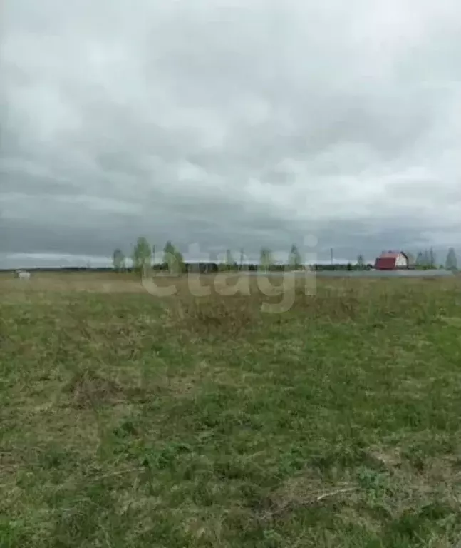 Участок в Пермский край, Пермский муниципальный округ, Берег-2 СНТ  ... - Фото 1