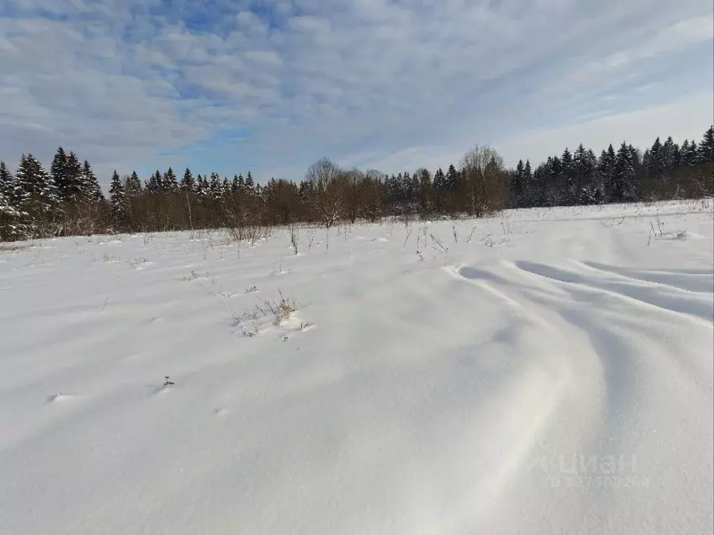 Участок в Московская область, Рузский муниципальный округ, д. ... - Фото 1