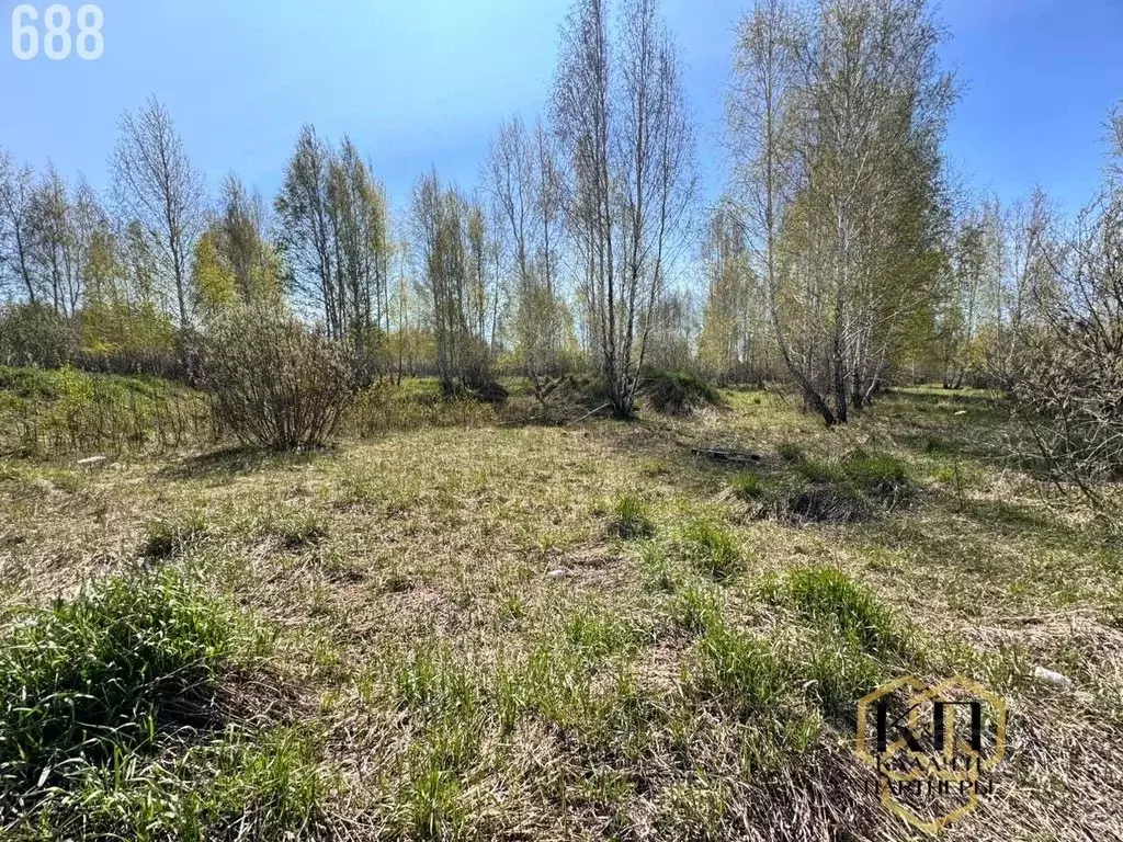 Участок в Свердловская область, Белоярский городской округ, с. ... - Фото 1