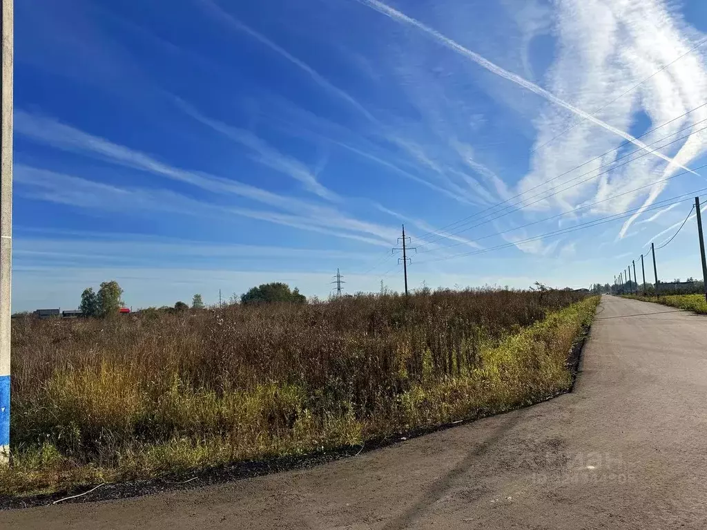 Участок в Московская область, Домодедово Кузьминское Парк кп, 216 (9.8 ... - Фото 1