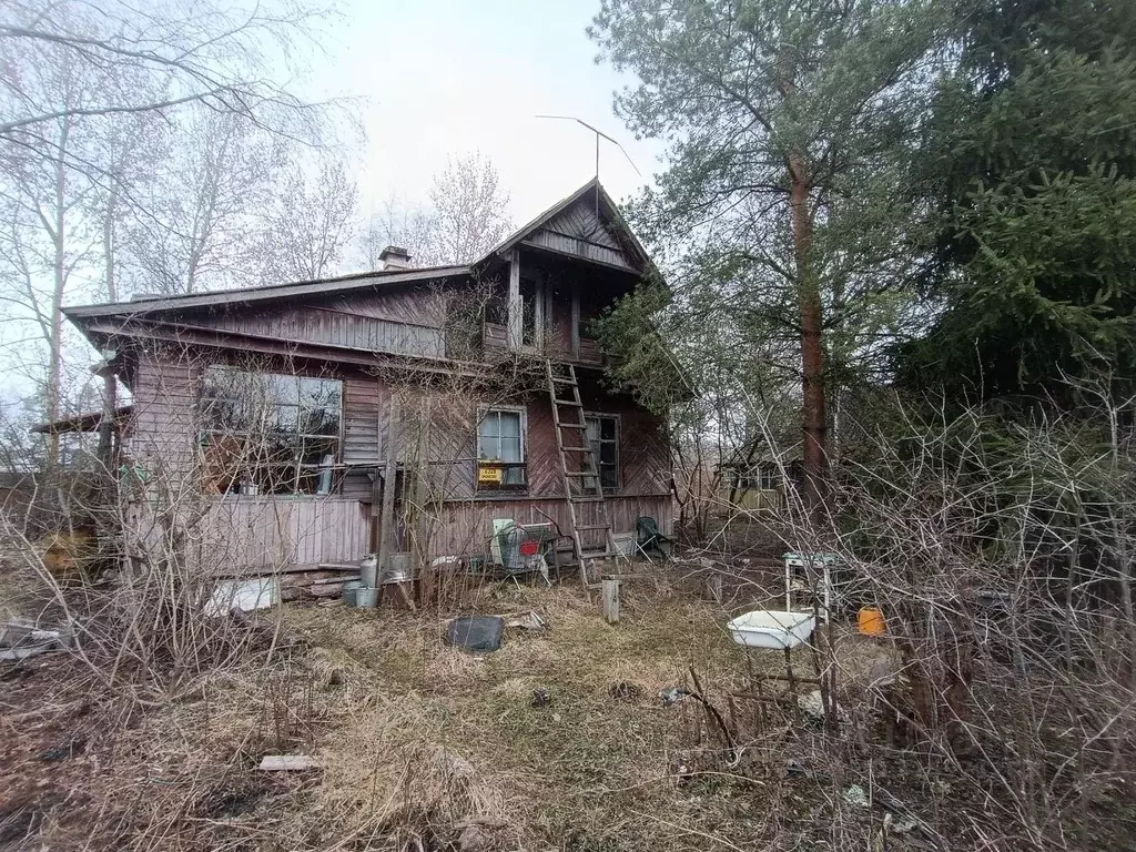 Дом в Санкт-Петербург Дружный-1 СНТ, 6-я линия, 12 (50 м) - Фото 1