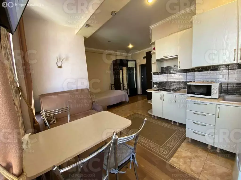 Квартира-студия: Сочи, улица Просвещения, 147/1 (26.1 м) - Фото 2