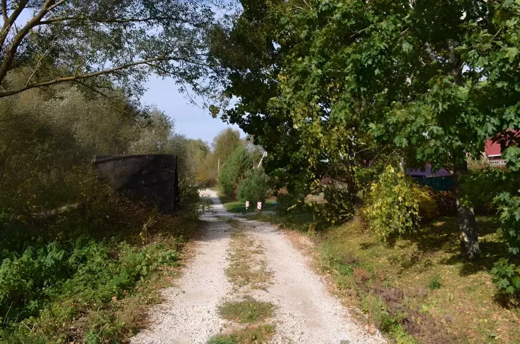 Дом в Московская область, Ступино городской округ, д. Петрищево ул. ... - Фото 2
