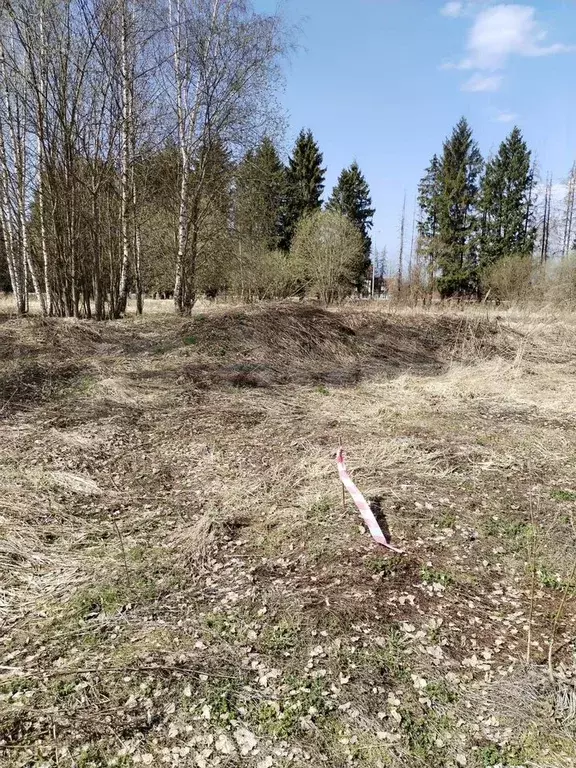 Участок 8 сот. (ИЖС) - Фото 0