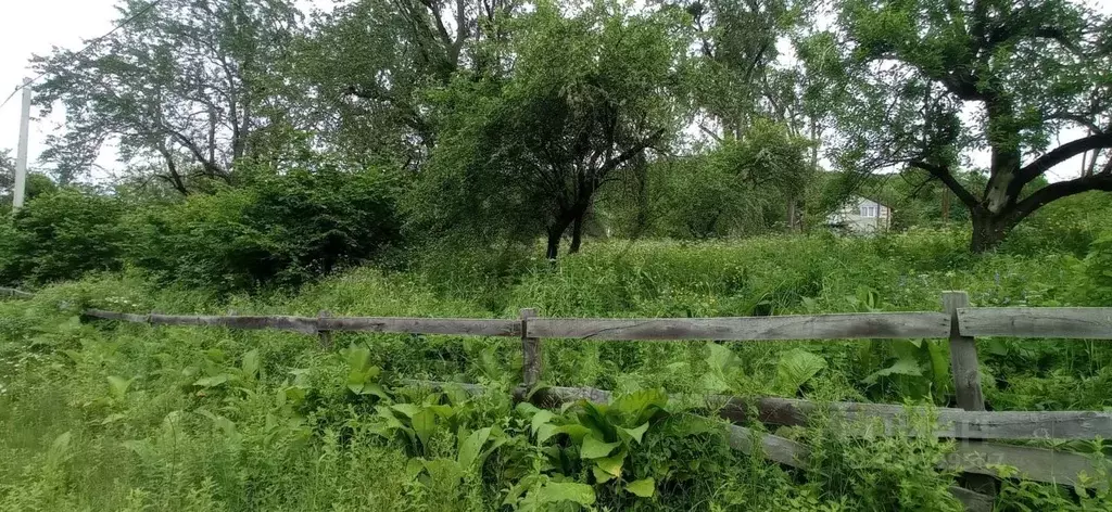 Участок в Краснодарский край, Апшеронский район, Мезмайское с/пос, ... - Фото 1