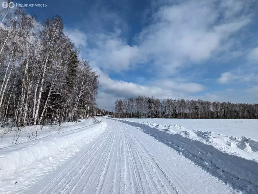 Участок в Свердловская область, городской округ Верхняя Пышма, село ... - Фото 1