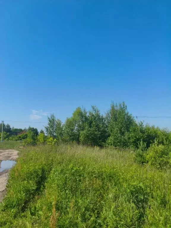 Участок в Московская область, Шатура муниципальный округ, д. Бордуки  ... - Фото 1