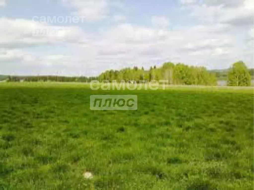 Участок в Ивановская область, пос. Лежнево ул. Афанасовская, 40 (10.0 ... - Фото 1