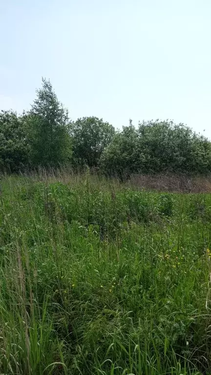 Участок в Московская область, Егорьевск Мещерская ул. (8.68 сот.) - Фото 1