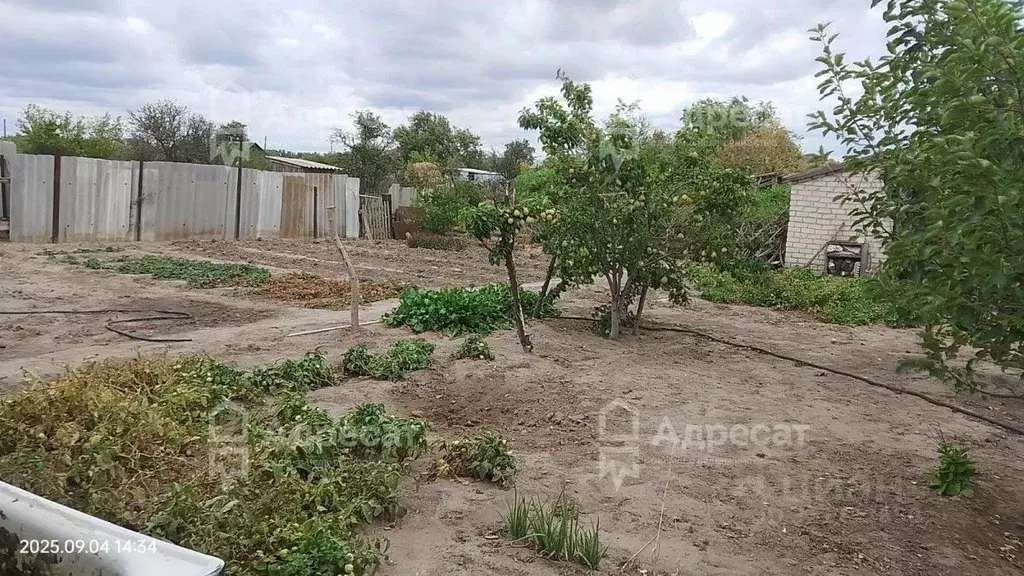 Дом в Волгоградская область, Ленинский район, с. Царев ул. Ленина (61 ... - Фото 1