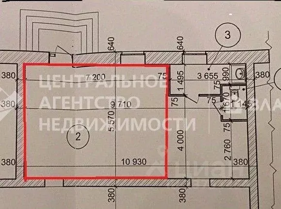 Помещение свободного назначения в Рязанская область, Рязань ул. Карла ... - Фото 2