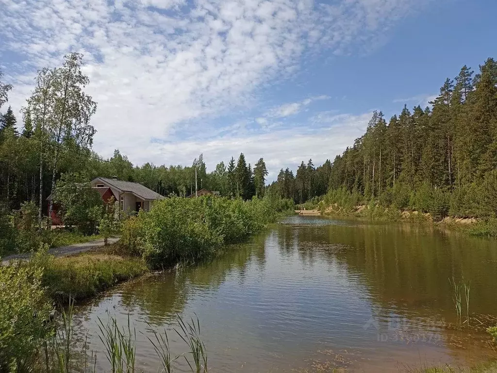 Участок, 10 сот., сельхоз (снт или днп) - Фото 1