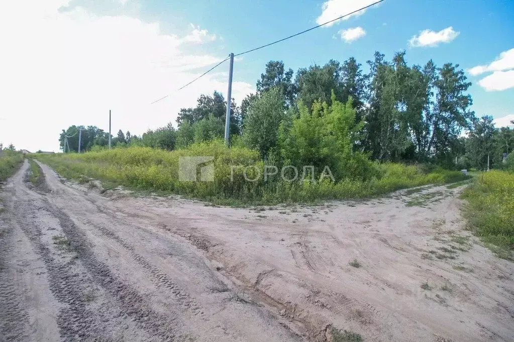 Участок в Алтайский край, Первомайский район, с. Санниково ул. ... - Фото 1
