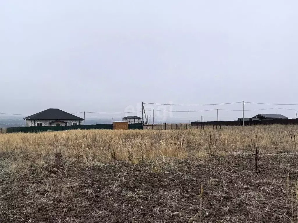 Участок в Воронежская область, Рамонский район, Новоживотинновское ... - Фото 1