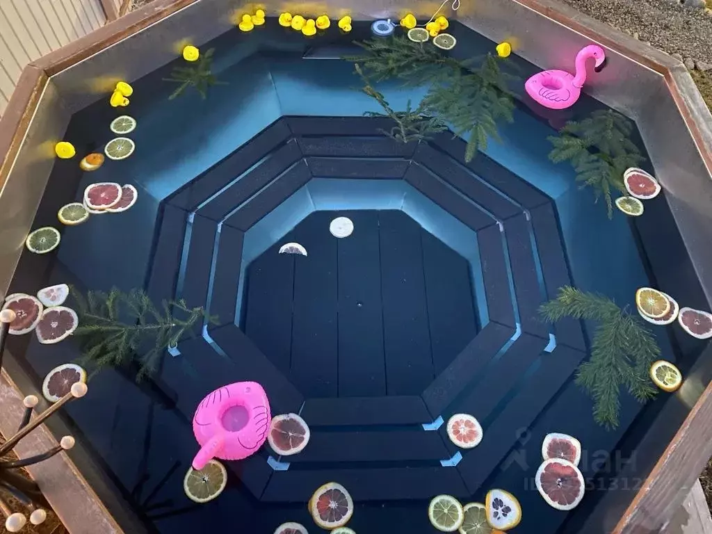 Дом в Ленинградская область, Приозерский район, Сосновское с/пос, д. ... - Фото 1